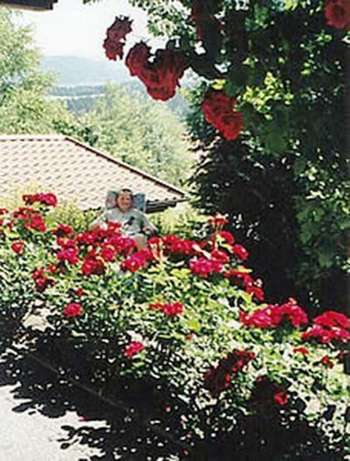 Haus Bergblick Bay. Wald Apartment Prackenbach Ngoại thất bức ảnh