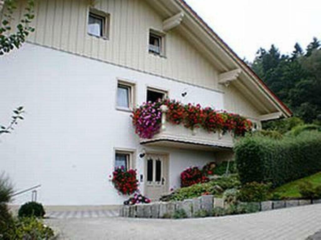 Haus Bergblick Bay. Wald Apartment Prackenbach Ngoại thất bức ảnh