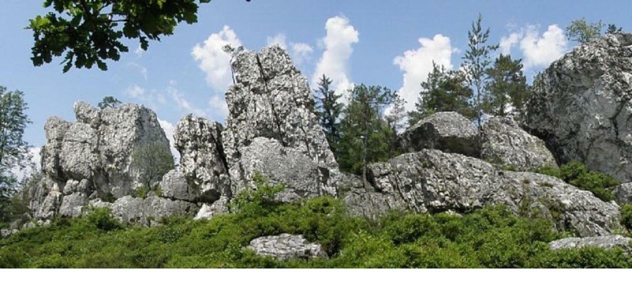 Haus Bergblick Bay. Wald Apartment Prackenbach Ngoại thất bức ảnh